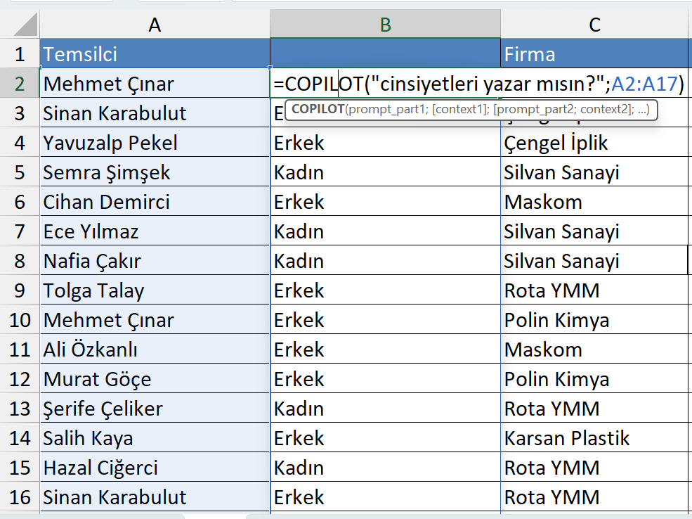 Copilot formülü kullanımı